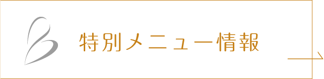 特別メニュー一覧