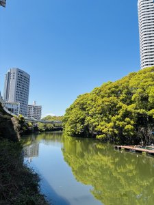 IMG_4789