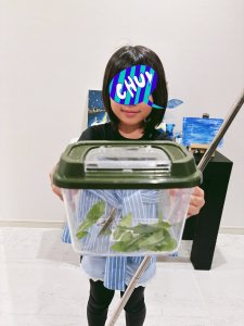 Processed with MOLDIV